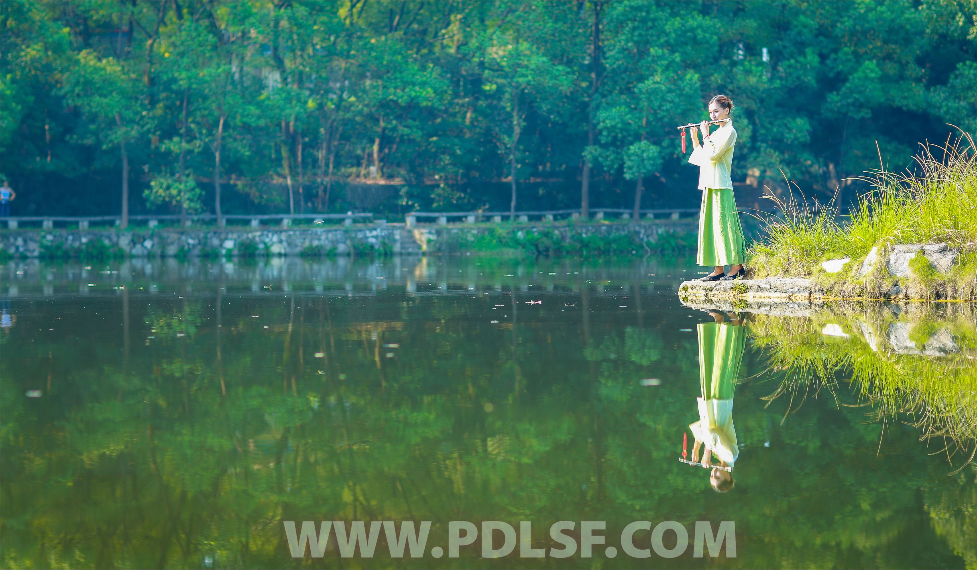 PDL潘多拉 2020.02.22 专辑No.281